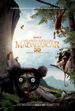 Island of Lemurs Madagascar