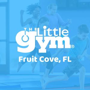 The Little Gym Fruit Cove