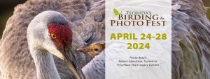 Florida Birding and Photo Fest 