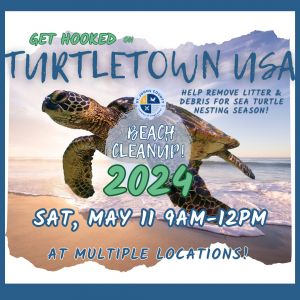 Turtletown USA