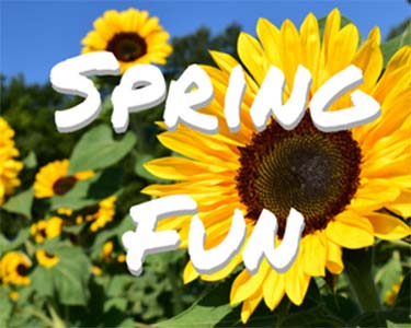 Kids St. Augustine and Palm Coast: Spring Fun - Fun 4 Auggie Kids