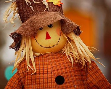 Kids St. Augustine and Palm Coast: Halloween and Fall Displays - Fun 4 Auggie Kids