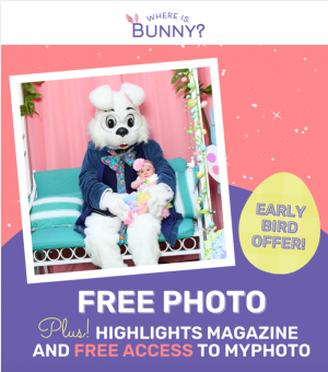 Where is Bunny Free Photo