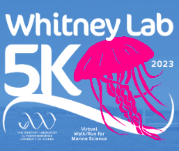 UF Whitney Lab 5K 2023