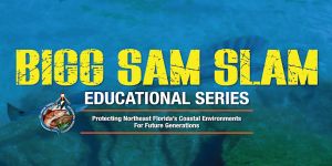 Bigg Sam Slam Educational Series 