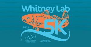 UF Whitney Lab 5K