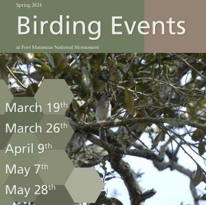 Fort Matanzas Birding Events 