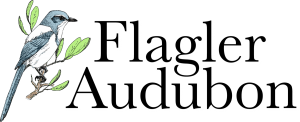 Flagler+Audubon+Logo.png