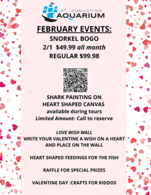 February_Events_Snorkel_Bogo_21._49.99_Regular_99.98-2_400x.png