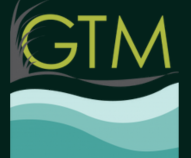 GTM.png