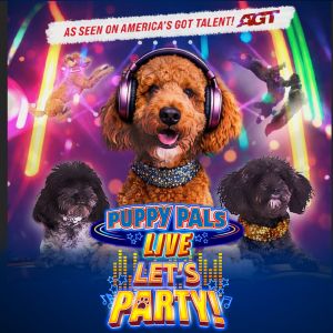 Puppy Pals LIVE