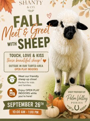 sheep.jpg