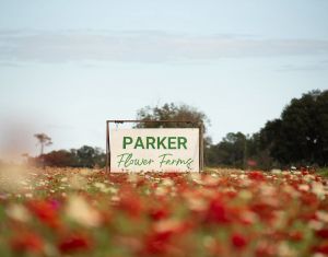 parker.jpg
