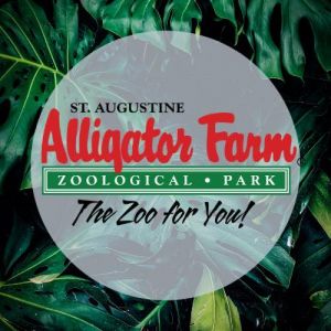 St. Augustine Alligator Farm Zoological Park Zoo Camp