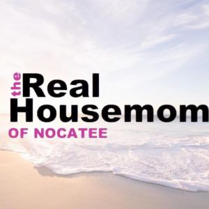 Real Housemoms of Nocatee