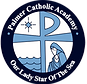 Palmer Catholic Academy Summer Cheer Camp