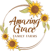 Amazing Grace Family Farms: You Pick Sunflowers