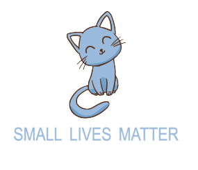 Small Lives Matter Kitten Rescue