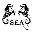 Seahorse Equestrian Adventures