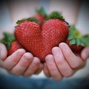 Sweet Berries of Crawford Farms: Strawberry U-Pick