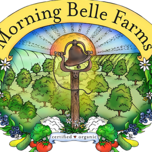 Morning Belle Farms: U-Pick USDA Organic Blueberries