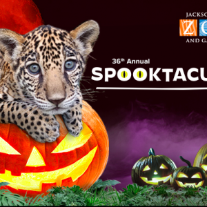 Jacksonville Zoo and Gardens: Annual Spooktacular