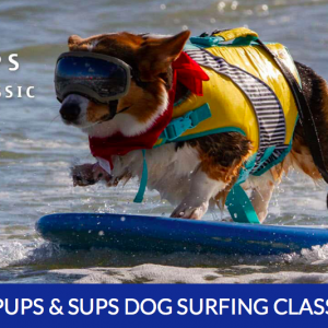 Guy Harvey Outpost Resorts: Pups and Sups Dog Suring Contest