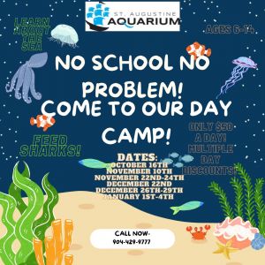 St. Augustine Aquarium Single day Camp