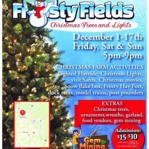 Frosty Fields: Christmas Trees and Lights
