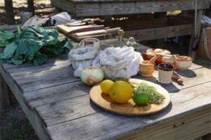 Fort Mose Historical Society: Fort Mose First Harvest