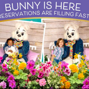 Orange Park Mall: Hop into Vist the Easter Bunny