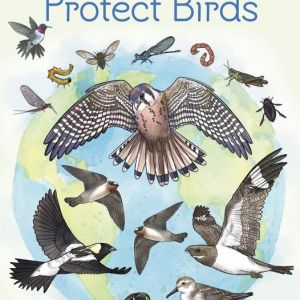 Timucuan Ecological and Historic Preserve: World Migratory Bird Day 2024