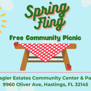 St. Johns County Parks and Recreation: Spring Fling Community Picnic