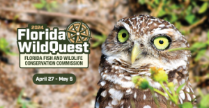 Florida Fish and Wildlife Conservation Commission: Annual Florida Wild Quest