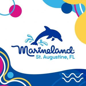 Marineland Dolphin Adventure: Fathers Day Special