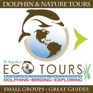 St. Augustine Eco Tours: Family Adventures