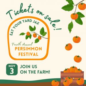 Eat Your Yard Jax: Annual Persimmon Festival Fundraiser