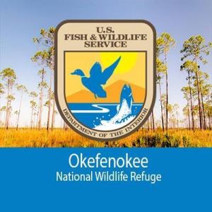 Okefenokee National Wildlife Refuge