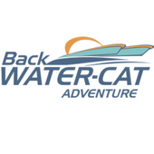 Backwater Cat Adventure