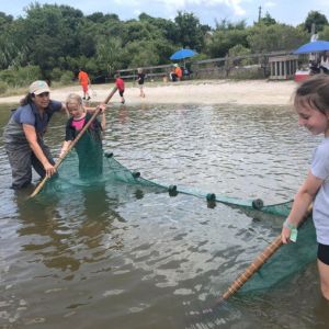 GTM Research Reserve: Family Seining