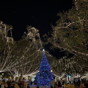 City of Saint Augustine: Annual Nights of Lights