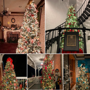 St. Augustine Lighthouse and Maritime Museum: Annual Lighthouse Illuminations Tides, Tidings and Trees