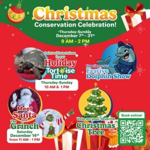 Marineland Dolphin Adventure: Christmas Conservation Celebration