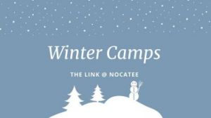 Link, The Winter Camps