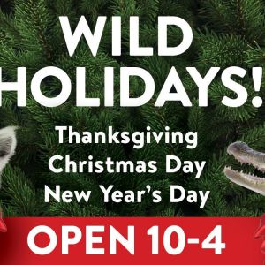 St. Augustine Alligator Farm Zoological Park: Wild Holidays