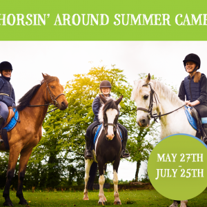 Mandala Family Wellness: Horsin' Around Summer Camp