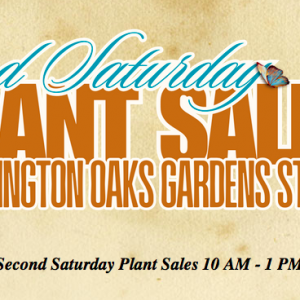 Friends of Washington Oaks Gardens State Park: Second Saturday Plant Sale