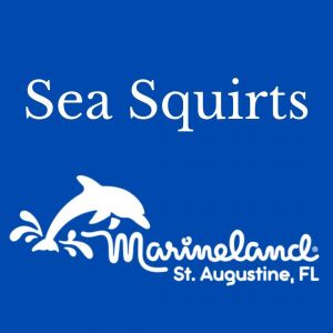 Marineland Dolphin Adventure: Sea Squirts - Under the Sea with My Kiddo and Me