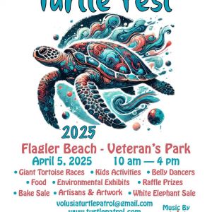 Volusia - Flagler Turtle Patrol: Annual Turtle Fest