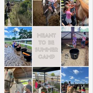 Horse camp at Meant To Be Equestrian!